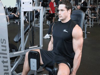 Thigh Adductor