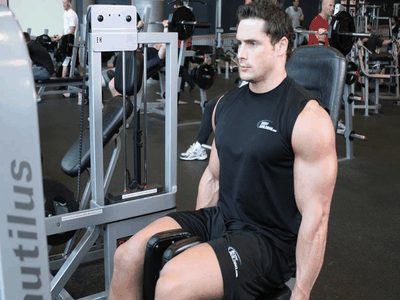 Thigh Adductor